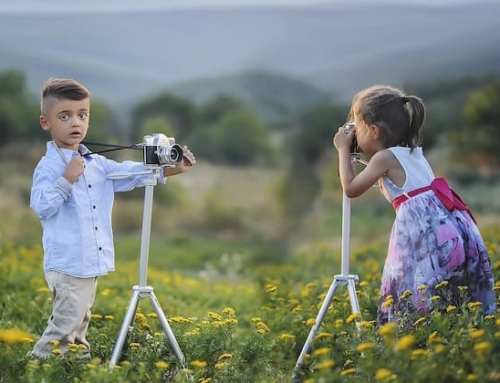 İçerik Kralsa, Dağıtım Kraliçe