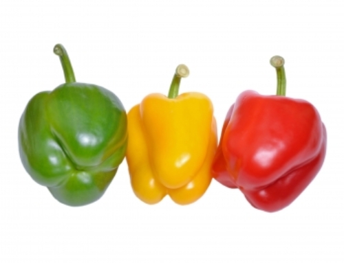 Web Sitelerinde Yapılan 3 Önemli Pazarlama Hatası